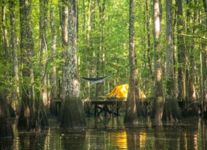 Roanoke River Platform Camping View of Platform and Tent from Canoe