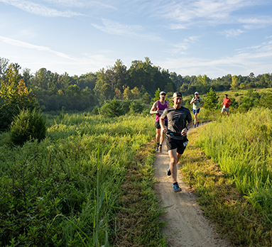 Group of people running outdoors